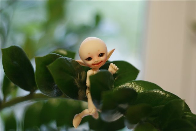 В нашем доме поселился замечательный жилец! Реалпуки Попо (фото 10)