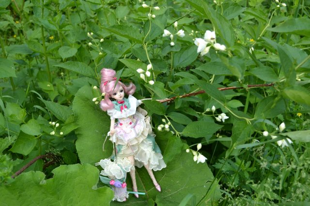 Девушка-пион: джеечка La Rue de Rivoli (J-doll) (фото 10)