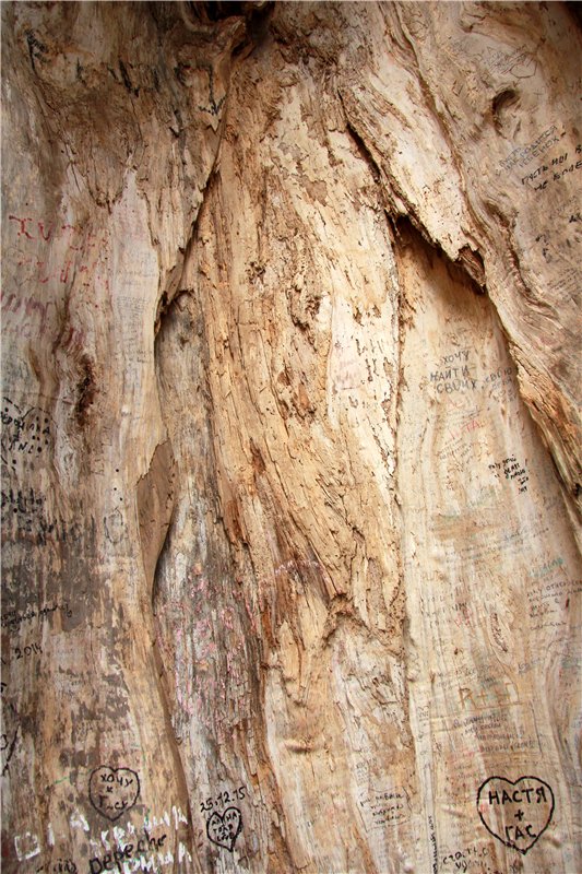 Сказочное Василёво. Реплика антикварной куклы Bébé BRU JNE от автора Branka Schärli