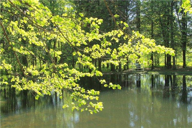 Субботний вояж. Часть вторая | Бэйбики Субботний вояж. Часть вторая