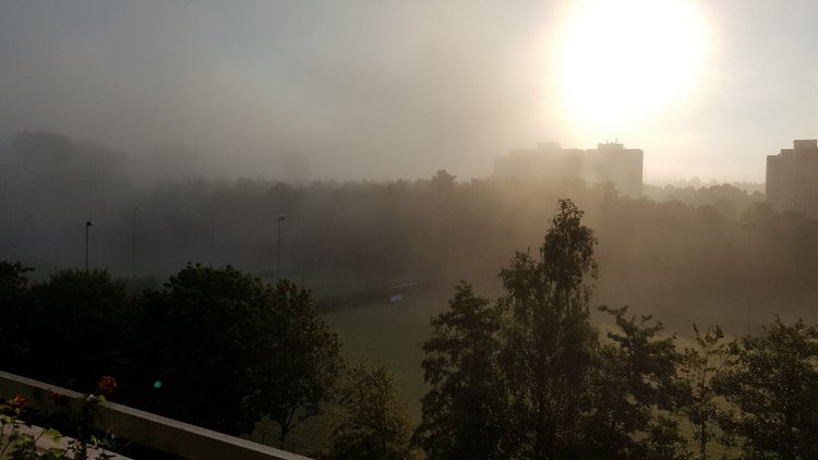 Вид из моего окна, KARLSRUHE