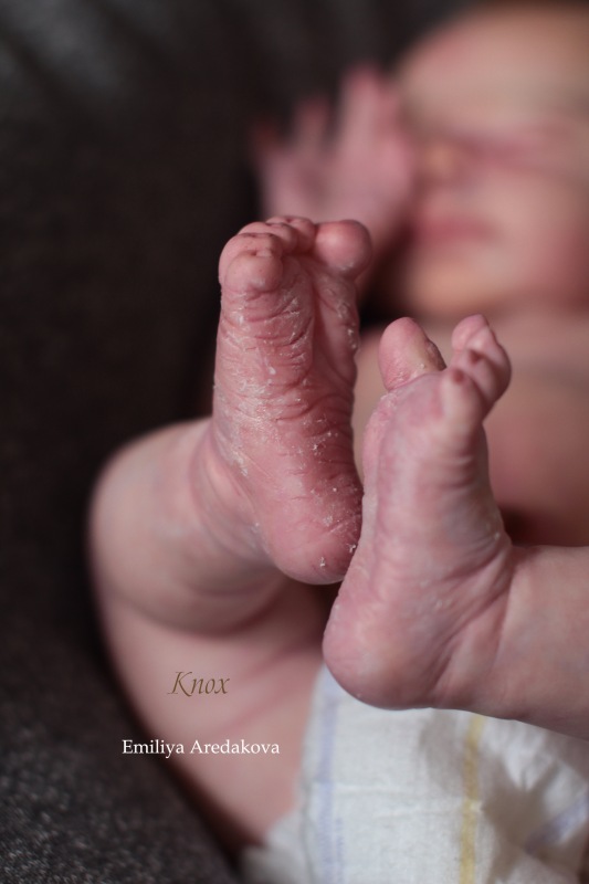 Мой реалистичный малыш реборн из молда Knox. Кукла Эмилии Аредаковой