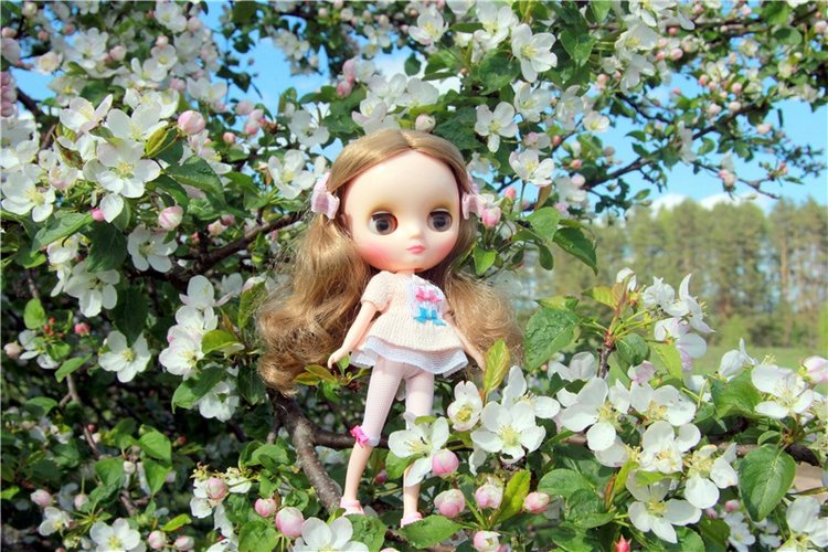 Блайзочки на природе — Оригинальные куклы Blythe (Блайз): Takara (фото 7)