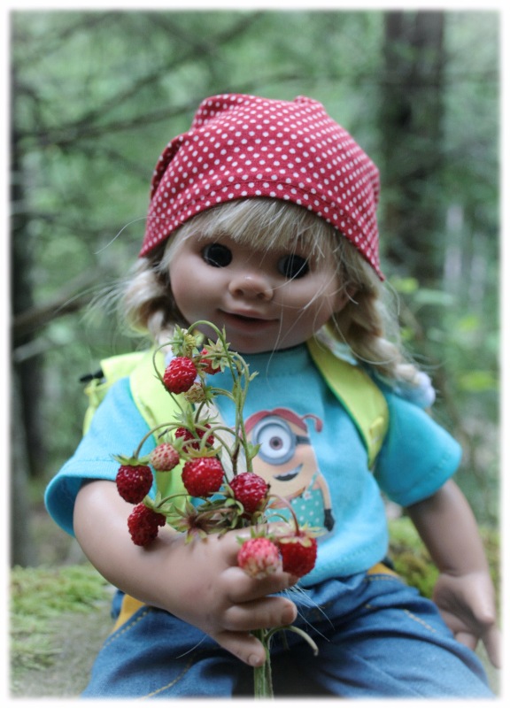 Как мы горы покоряли — Куклы Rosemarie Anna Muller (Мюллер): Вихтели (Wichtel)