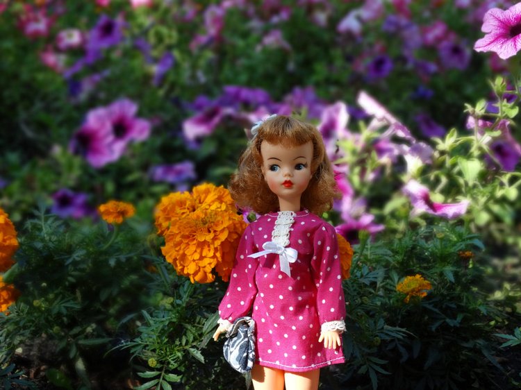 Гуляем с Тамми. Ideal tammy doll (фото 7)