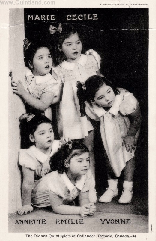 История трагической жизни, ставшая фурором кукольного мира . Часть 3 Заключение