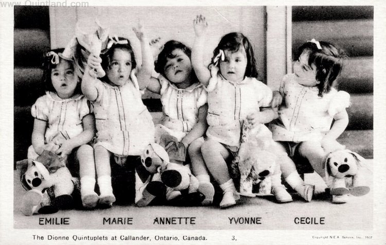 История трагической жизни, ставшая фурором кукольного мира . Часть 3 Заключение