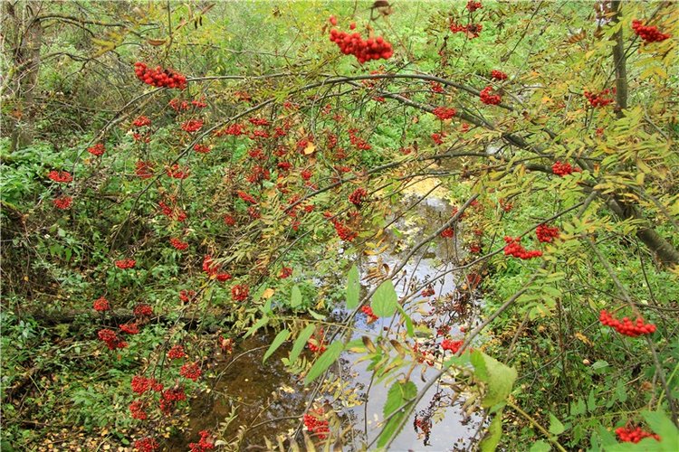 Тверской Водопад — Туризм и путешествия: фотоотчеты из поездок