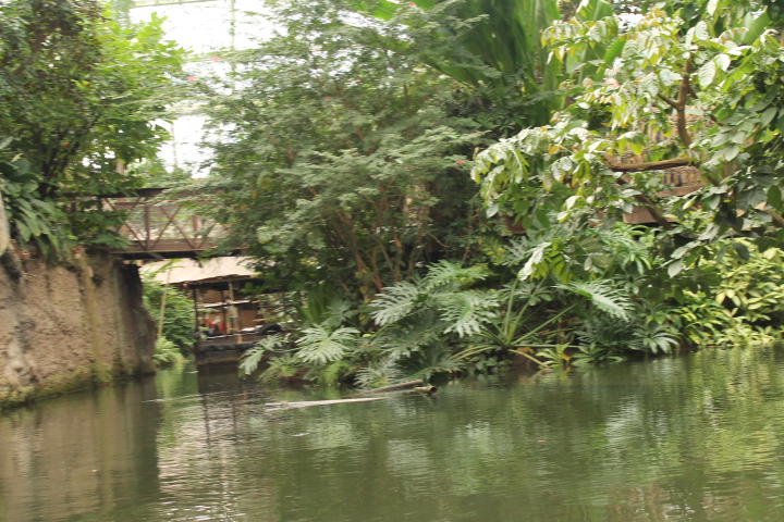 По Германии: зоопарк Лейпцига, часть 2