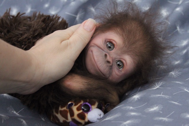 Клёпочка, кукла реборн Элины Кудрявцевой