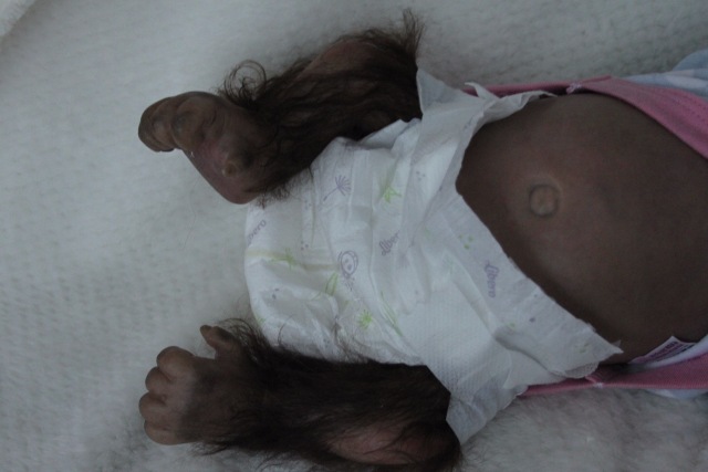 Карамелька кукла-реборн Элины Кудрявцевой