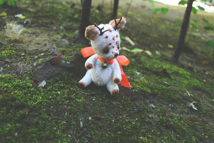 Жители моего дома — Авторские работы в частных коллекциях: домашние фото кукол и игрушек