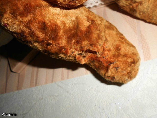 Выполняю обещание. Дарина и Рада. Утренний переполох