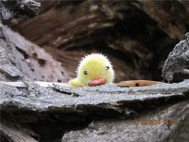 Дружок — Интересные игрушки и фигурки (разное): редкие