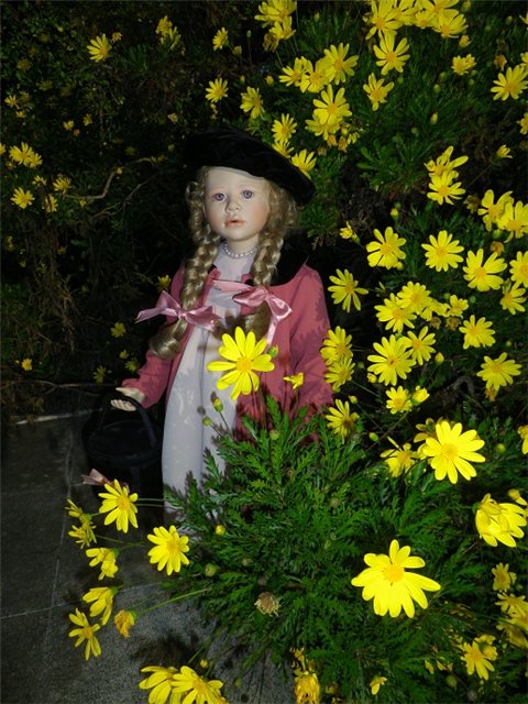 Куклы тоже любят путешествовать (фото 3)