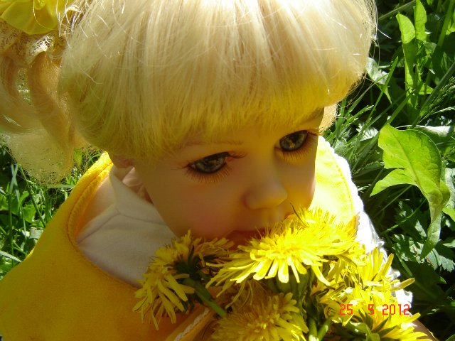 Солнечный лучик заглянул в мой сад (фото 8)