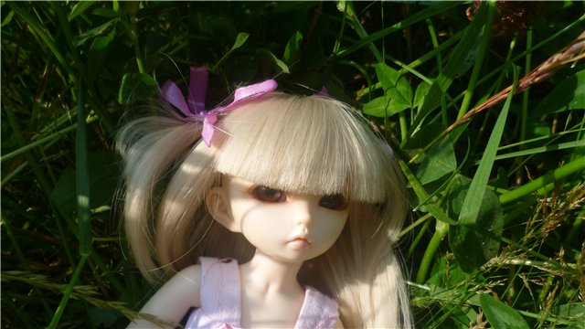 Отдых с Литлфи) | Бэйбики Отдых с Литлфи) — Куклы Fairyland (ФэйриЛэнд): BJD (БЖД) (фото 4)