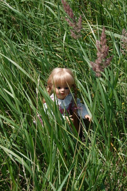 Путешествие по огромному миру! Ирис от E. Pfaffendorf и Тим от Susi Eimer