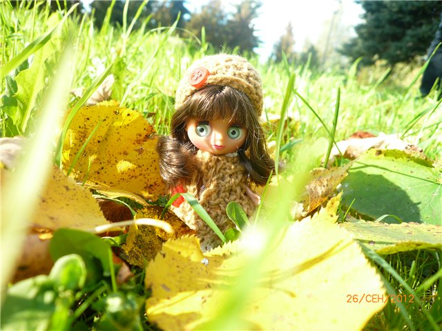 Мои Блайзочки — Оригинальные куклы Blythe (Блайз): Takara