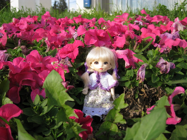 Золотая осень или прогулка по городу БЖД Пукифи Анте -- Элис | Бэйбики Золотая осень или прогулка по городу БЖД Пукифи Анте -- Элис