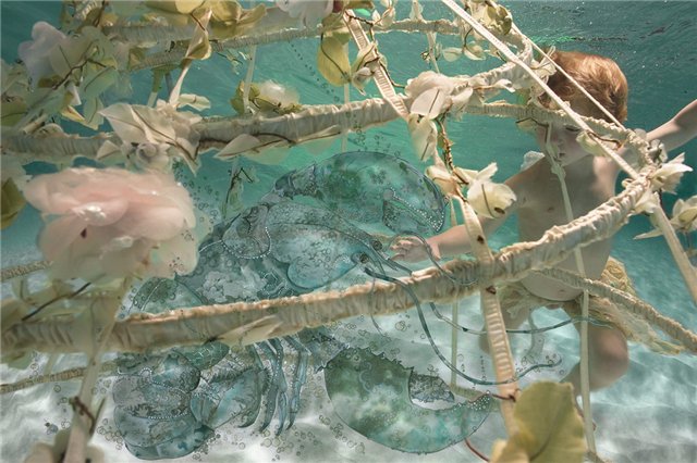 Дети под водой глазами фотографа Зены Холловей (Zena Holloway)