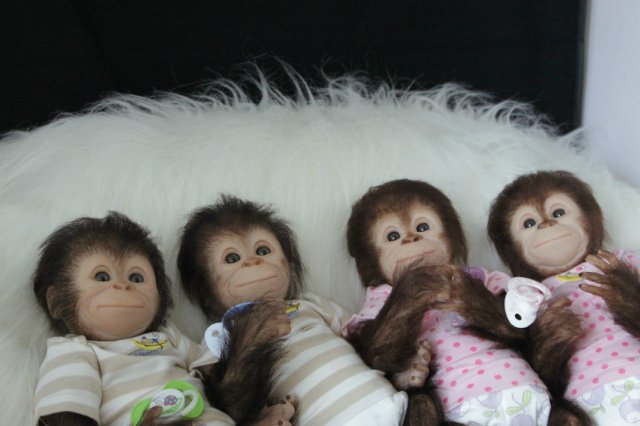 Развеселая компания (или мини-зоопарк)! Куклы реборн Вишни Виктории (фото 9)