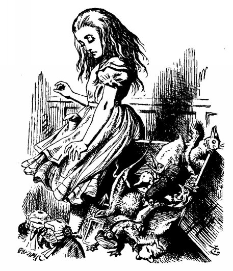 Королева Алиса на праздник зовет или Опять в Зазеркалье. Куклы Diane Keeler из цикла Alice in Wonderland (фото 4)