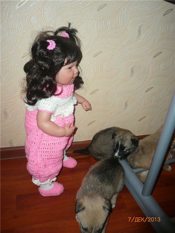 Куклы и собаки. Радость в нашем доме