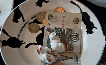 «Мяу» особого назначения или Весенняя кошкотерапия