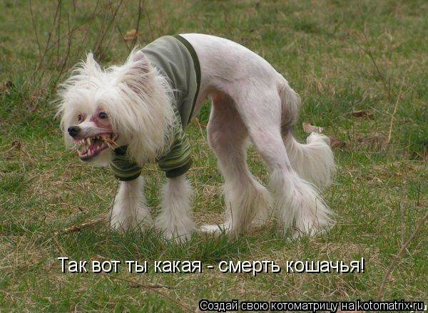 Понедельник - день тяжёлый | Бэйбики Понедельник - день тяжёлый