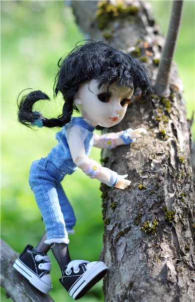 Ленси на даче и дома — Худжики (фото 3)