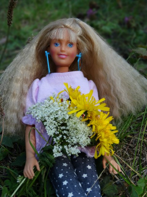 Девочки гуляют — Куклы Sindy (Синди) и Tammy (Тамми): винтаж