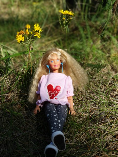 Девочки гуляют — Куклы Sindy (Синди) и Tammy (Тамми): винтаж