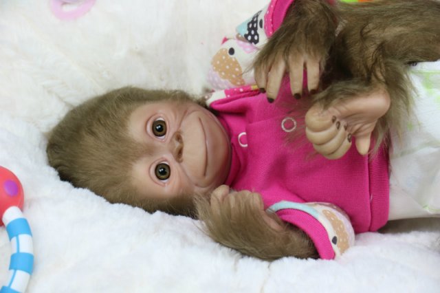 Мартышка - малышка... Куколка реборн Виктории Вишни