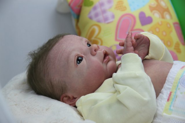 Софийкин! Кукленок реборн Виктории Вишни