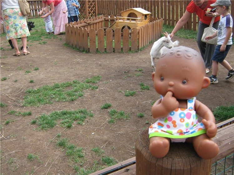 Пупсы Nines Artesanal D'Onil в Ижевском зоопарке