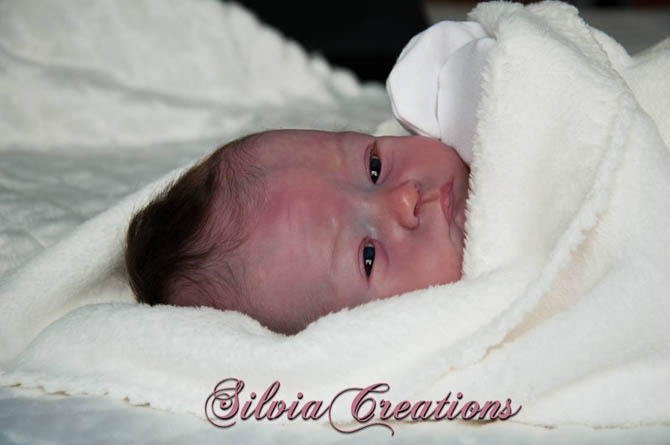 Новый молд Will от Натали Шолль