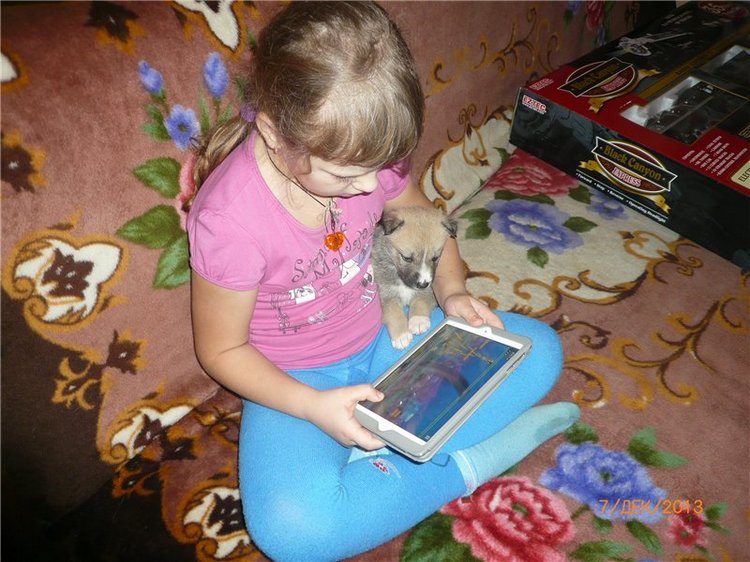 Куклы и собаки. Радость в нашем доме (фото 10)