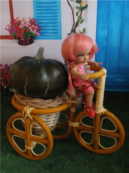 В огород, за урожаем — Куклы Fairyland (ФэйриЛэнд): BJD (БЖД) (фото 8)