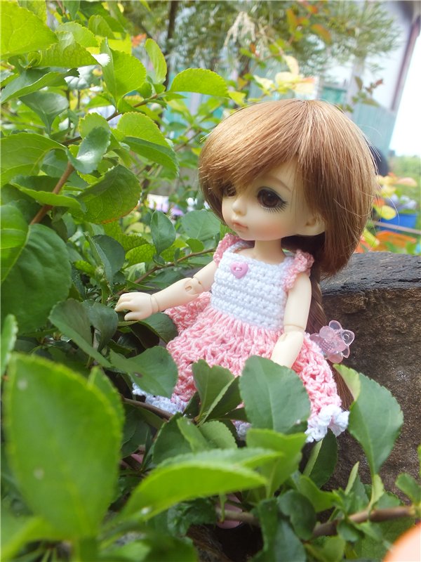 Моя сладкая и очень любимая Зойка.(PukiFee Zoe)