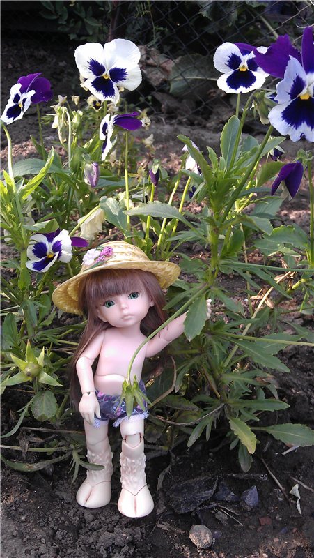 Немного лета в холода — Куклы Dollzone (Доллзон): BJD (БЖД) (фото 10)