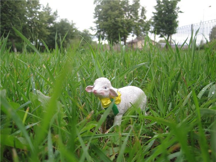 Тата, Анели и Лина! Куколки подружки Kathe Kruse | Бэйбики Тата, Анели и Лина! Куколки подружки Kathe Kruse