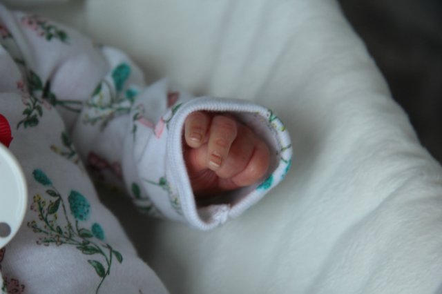 Моя маленькая королева Mihrimah. Кукла реборн Саутер Антонины (фото 5)