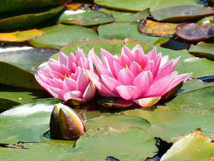 Ницца, Марсель, море и горы