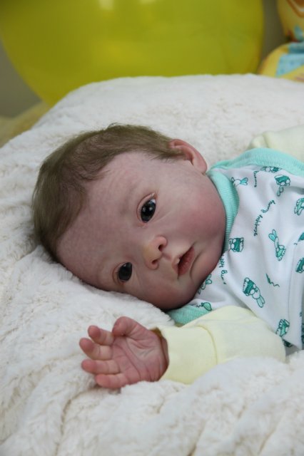 Софийкин! Кукленок реборн Виктории Вишни