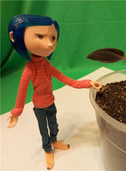 Мама любит куколок и цветочки | Бэйбики Мама любит куколок и цветочки