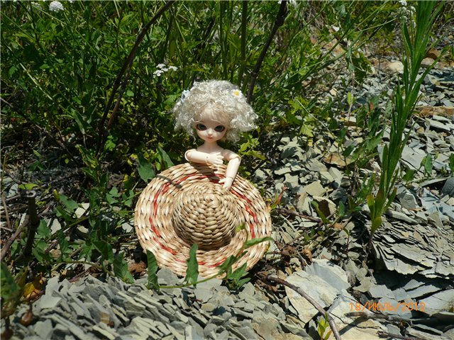 Сосенка Пин. Отпуск — Разные куклы BJD (БЖД): редкие бренды