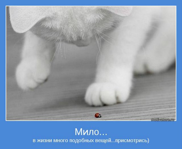 Для тех,кому сейчас грустно | Бэйбики Для тех,кому сейчас грустно