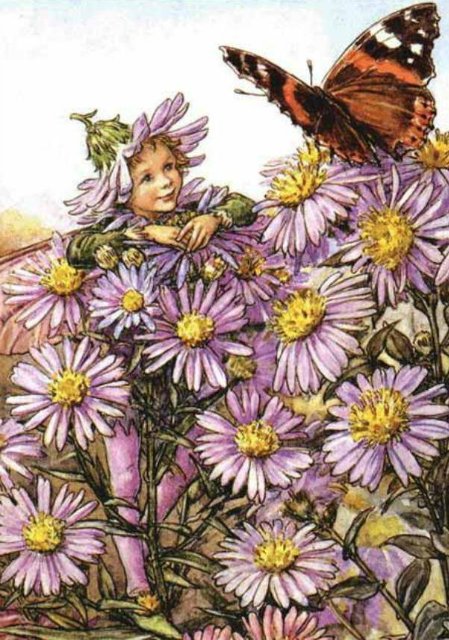Долгая жизнь цветочных фей от иллюстраций Cicely Mary Barker до кукол Birgitte Frigast