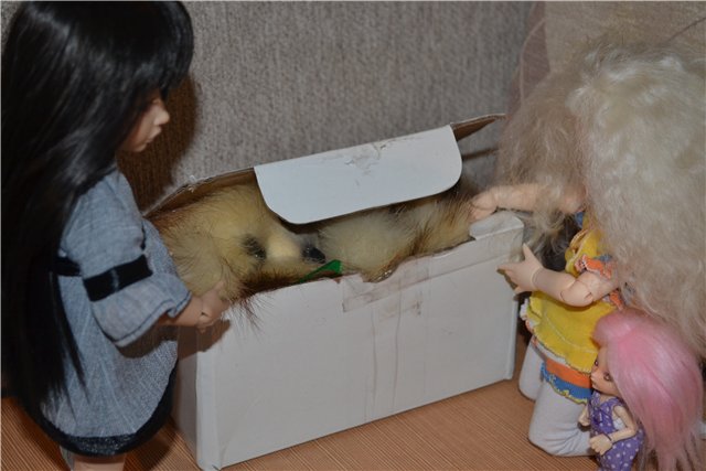 Ура!!! Лешенька приехал — Домашние фото авторских игрушек: Тедди (фото 5)